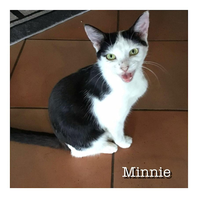 Photo of Minnie