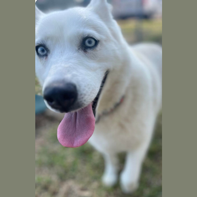 Photo of 🌻 Maya 5035 🌻