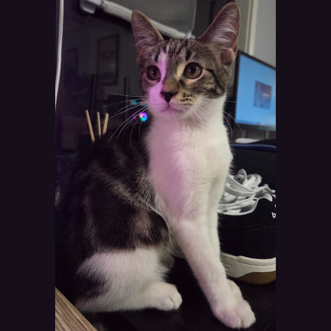 Photo of Willy 🧡