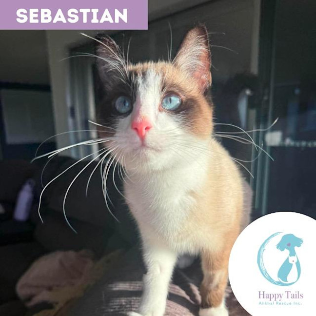 Photo of Sebastian