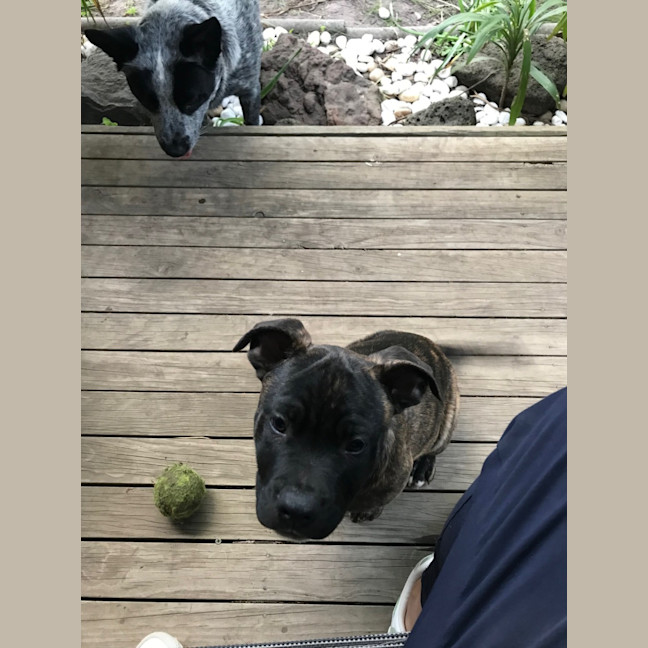 Photo of Aston Martin