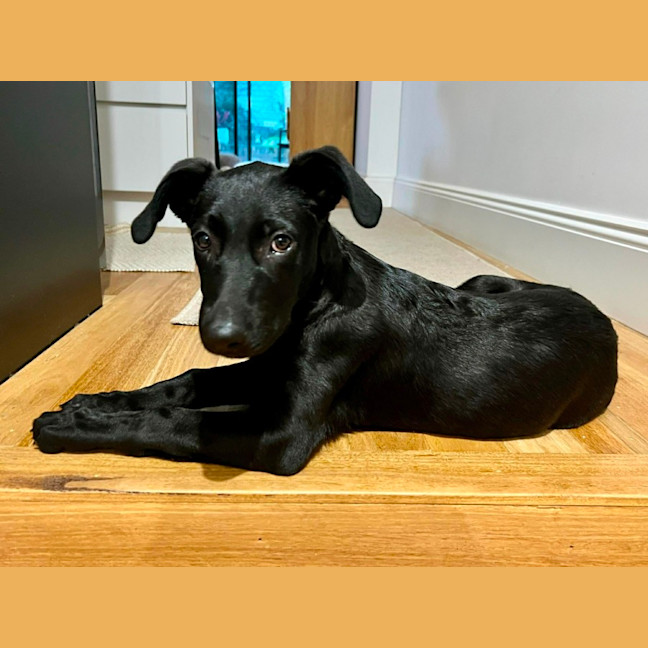 Photo of Pascha