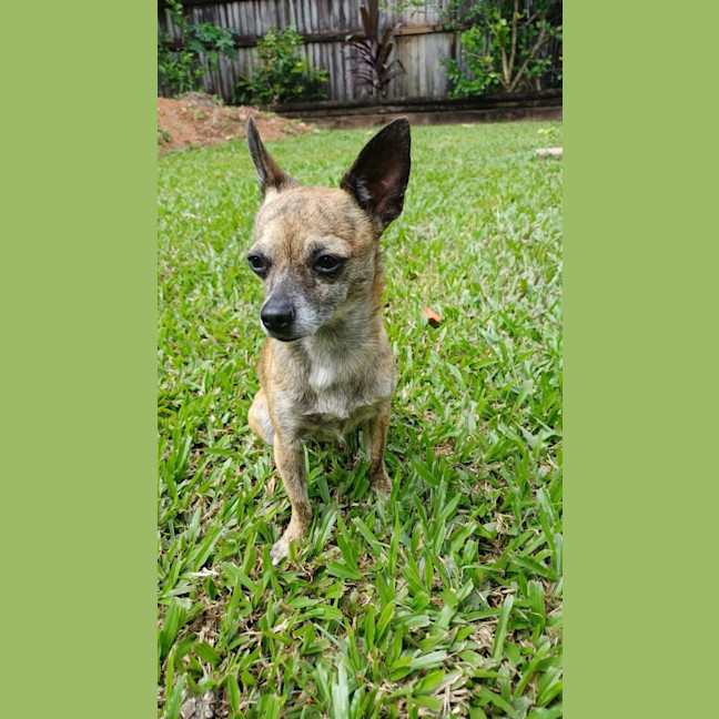 Photo of Milly 