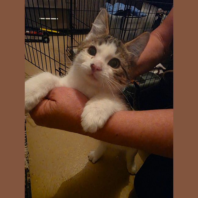 Photo of Alvin