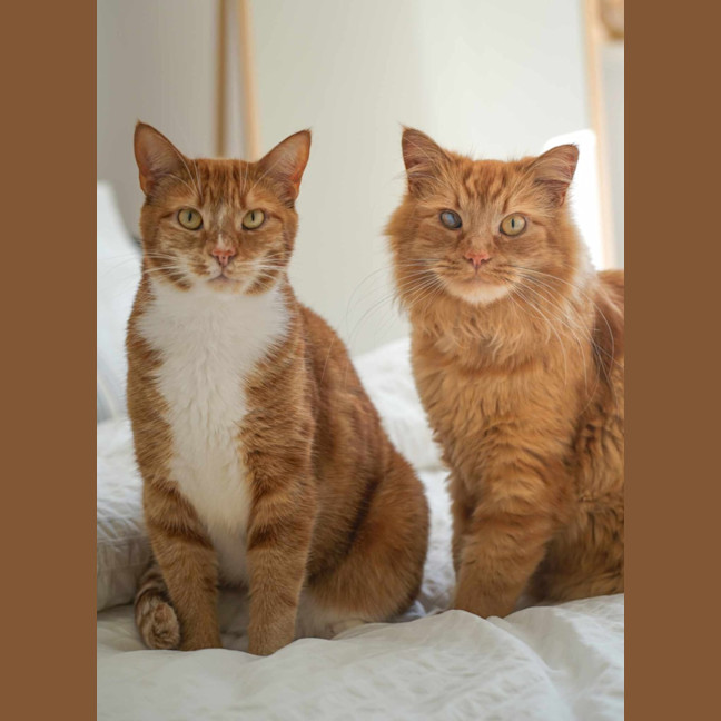 Photo of Finn & Percy