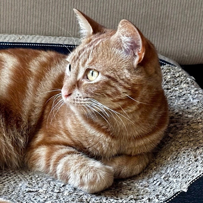 Photo of Charlie Lou Sta013002