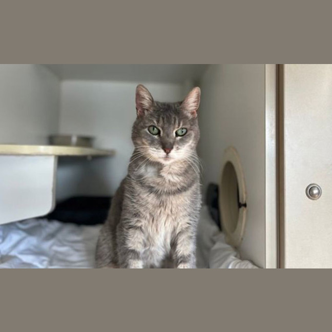 Photo of Izzy