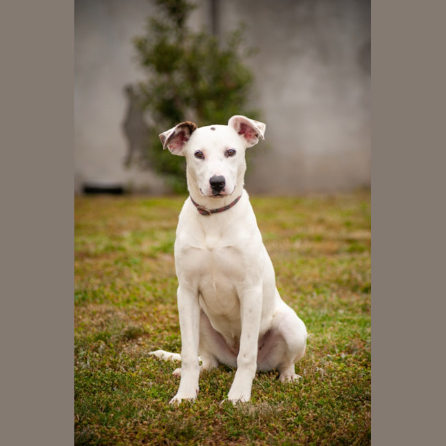 Photo of Delta