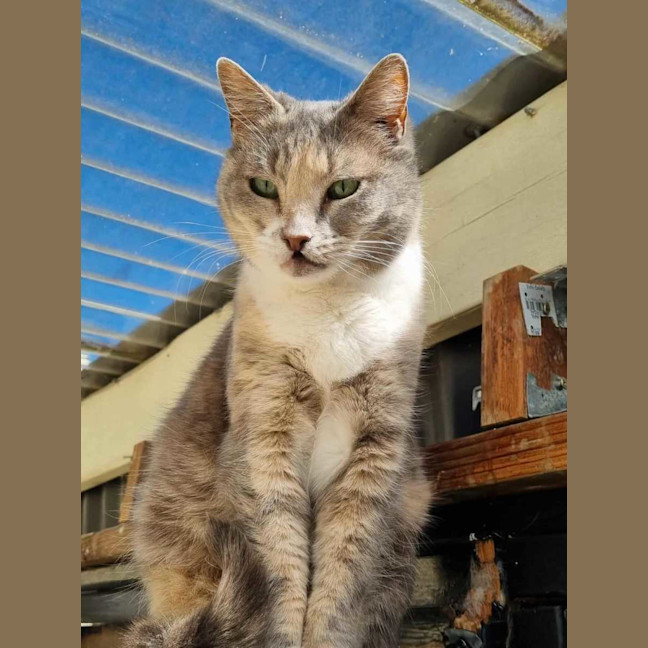 Photo of Zoe