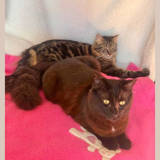 Photo of Abigail And Storm