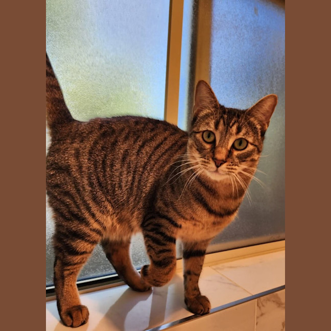 Photo of Fifi