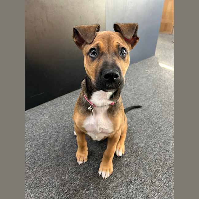 Photo of Matilda