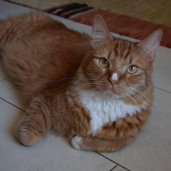 Photo of 11273   Xavier 