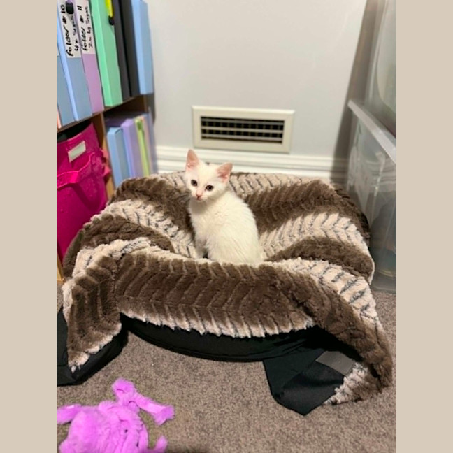 Photo of Jolly