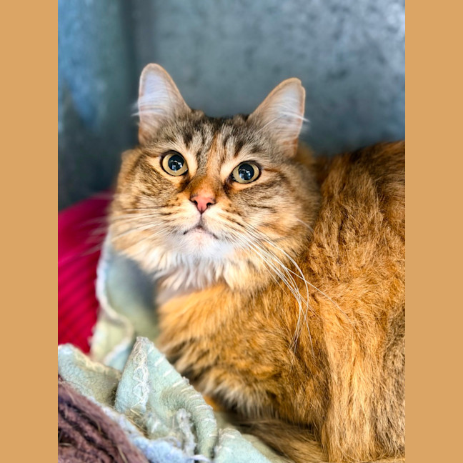 Photo of Beatrix