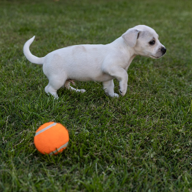 Photo of Cash