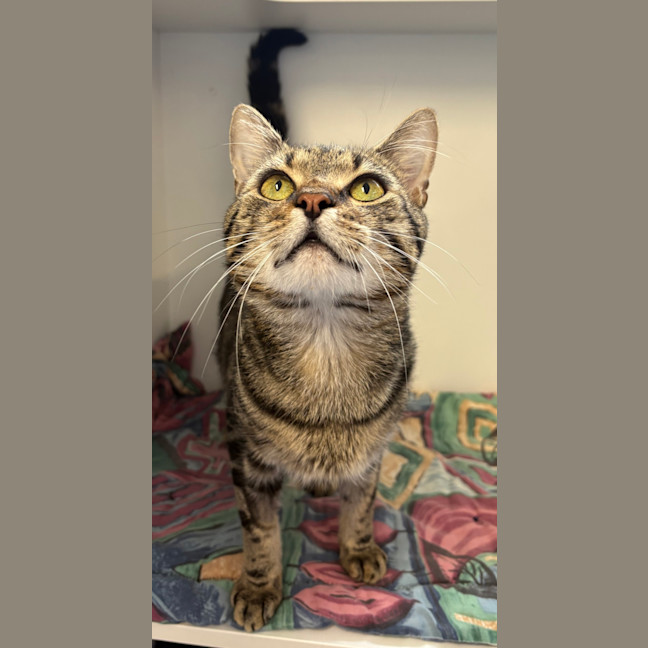 Photo of Spud