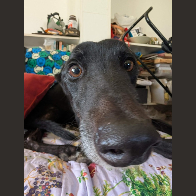 Photo of Arthur