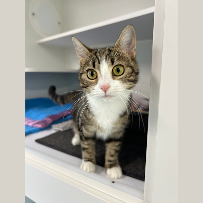 Photo of Cindy Lou Who