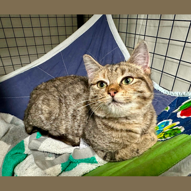 Photo of Monte Carlo