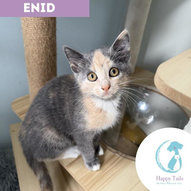 Photo of Enid