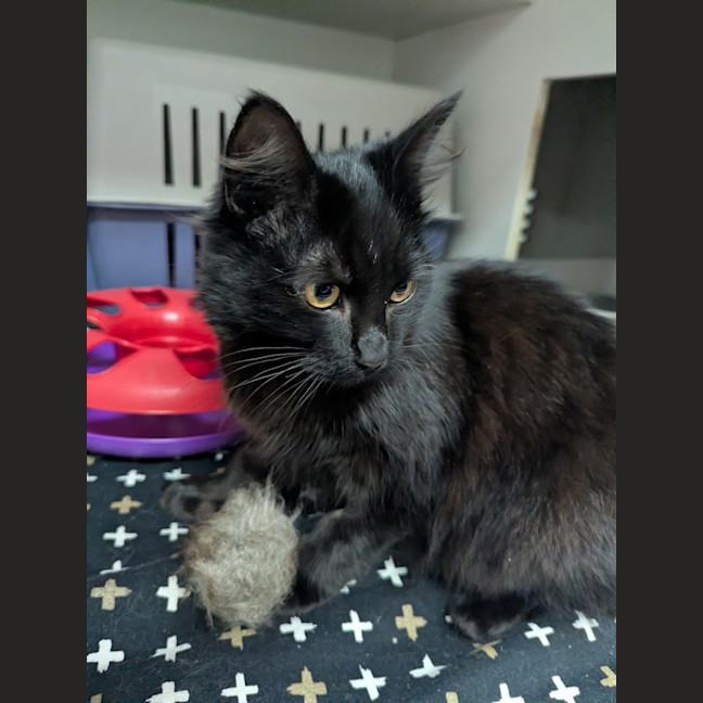 Photo of Liesl