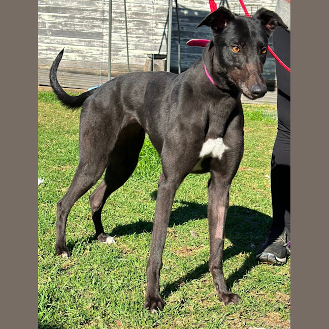 Photo of Betty Clover