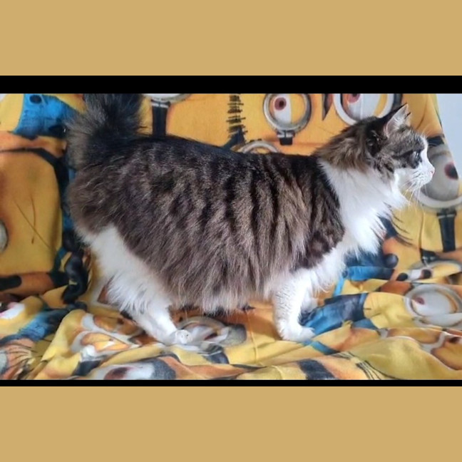 Photo of Zuzu
