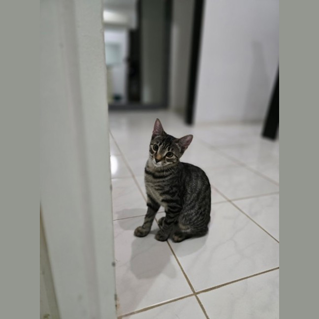 Photo of Bobbi