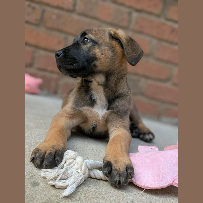 Photo of Astrid