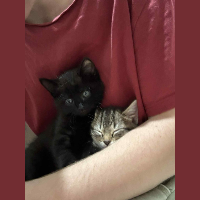 Photo of Pixie & Rocky