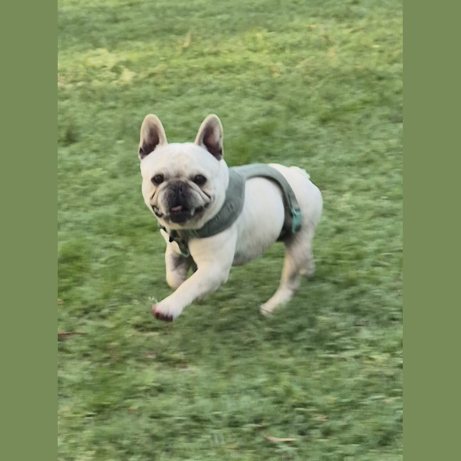 Photo of Louis