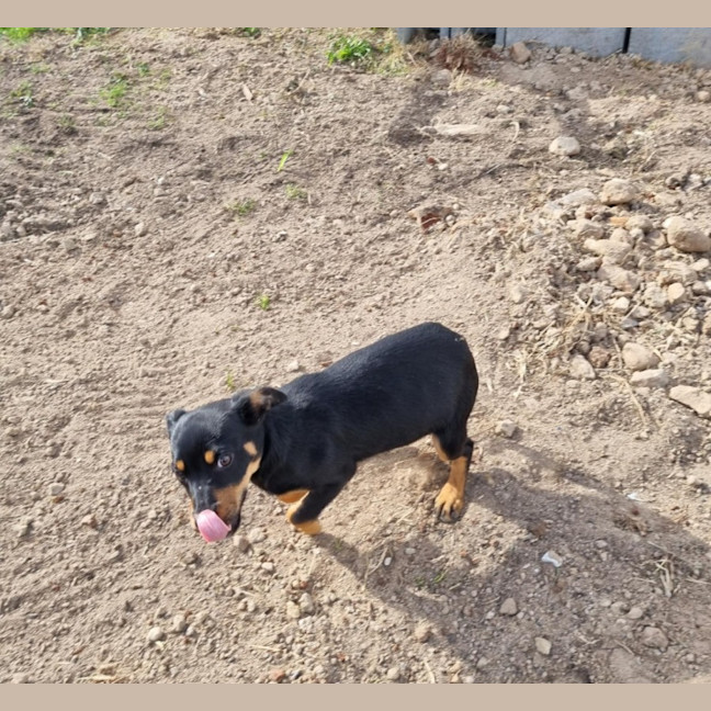 Photo of Bonnie