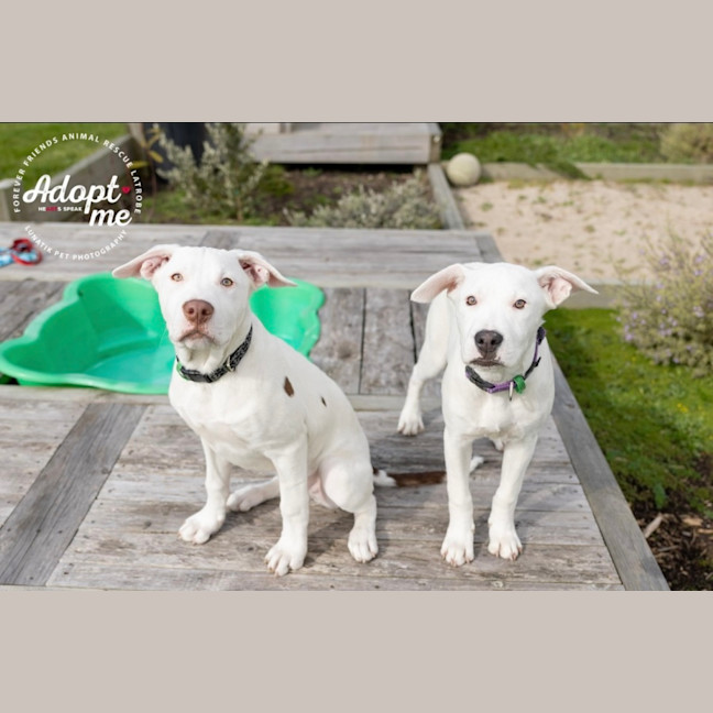 Photo of ❄️ Snowy ❄️