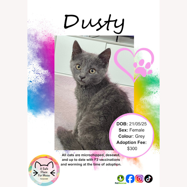 Photo of Dusty