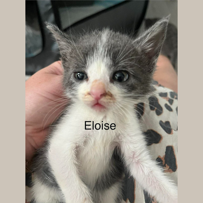 Photo of Eloise