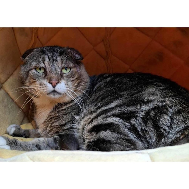 Photo of 12526   Jed 