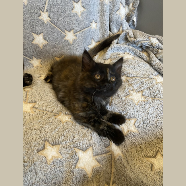 Photo of Amelia