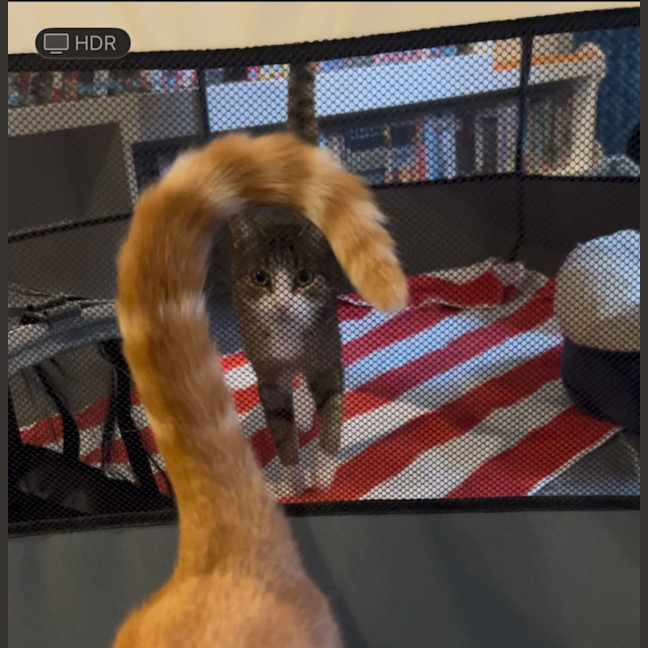 Photo of Lego   The Missing Piece