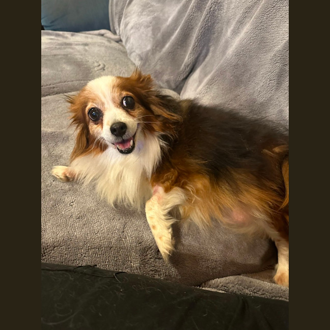 Photo of Monni