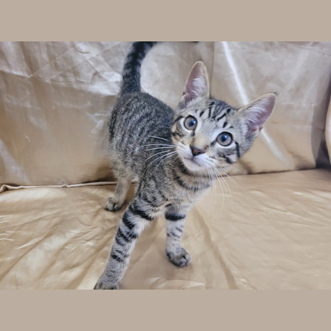 Photo of Breadcrumb 🍞🍞