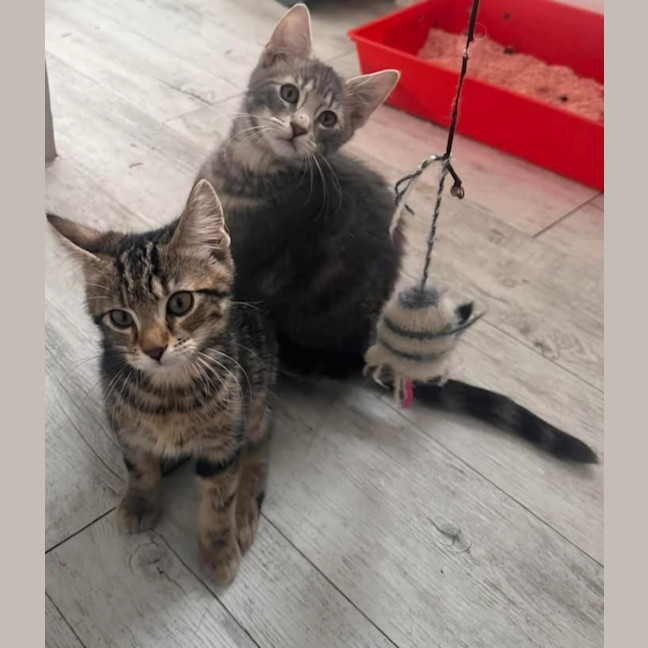 Photo of Joey & Nicky