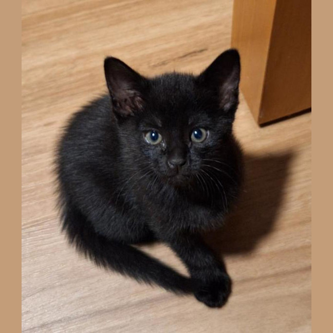 Photo of Mystique