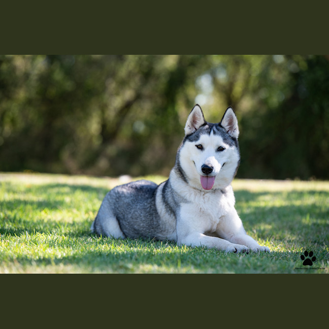 Photo of Crystal