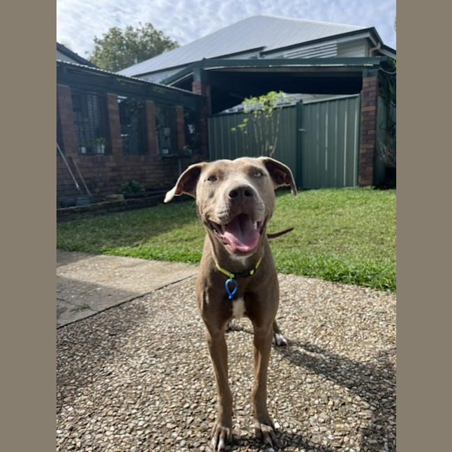 Photo of Pip