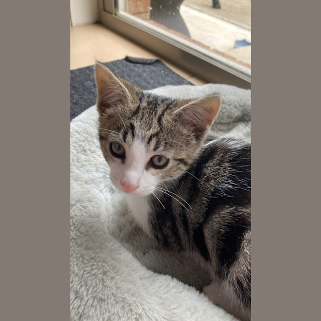 Photo of Elodie