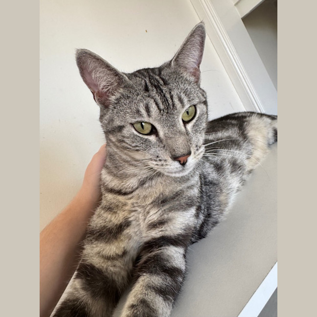 Photo of Leo