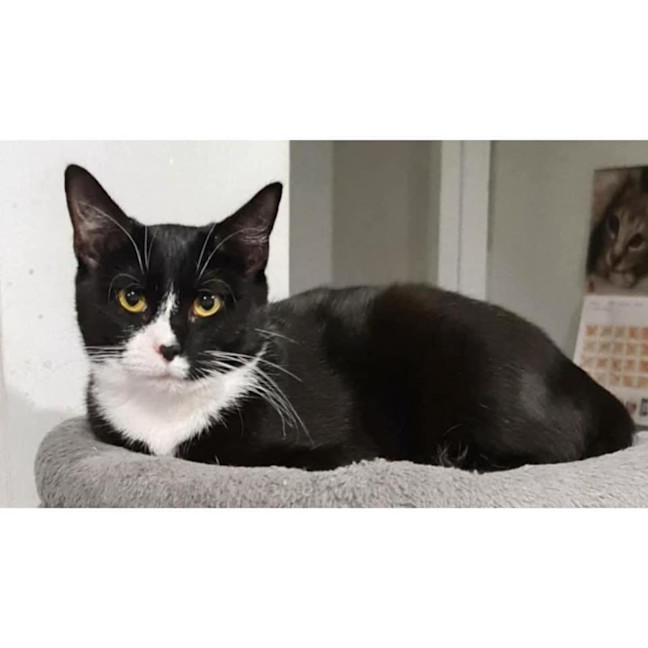 Photo of 10015   Billie Eilish