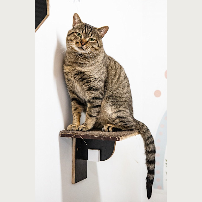 Photo of Mr Max