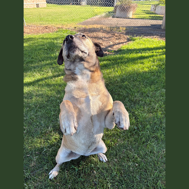 Photo of Margo
